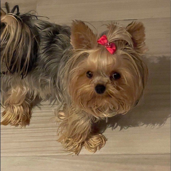 Meet your Posher, RiRi - Picture 13 of 16